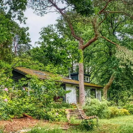 Cozy House In The Middle Of Nature