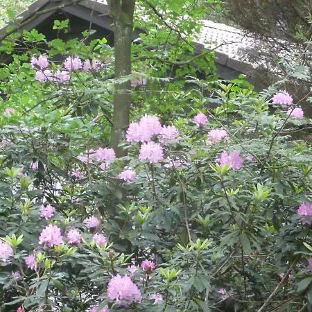 펜션 Cozy House In The Middle Of Nature 엠스트