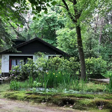 Cozy House In The Middle Of Nature Holiday home Emst