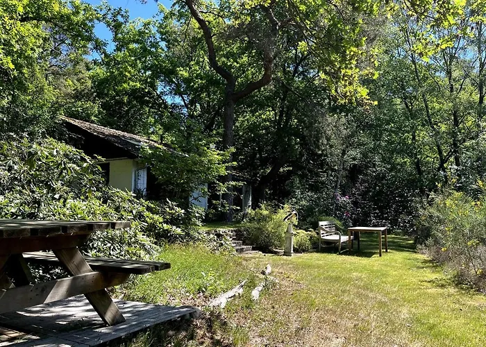 Cozy House In The Middle Of Nature