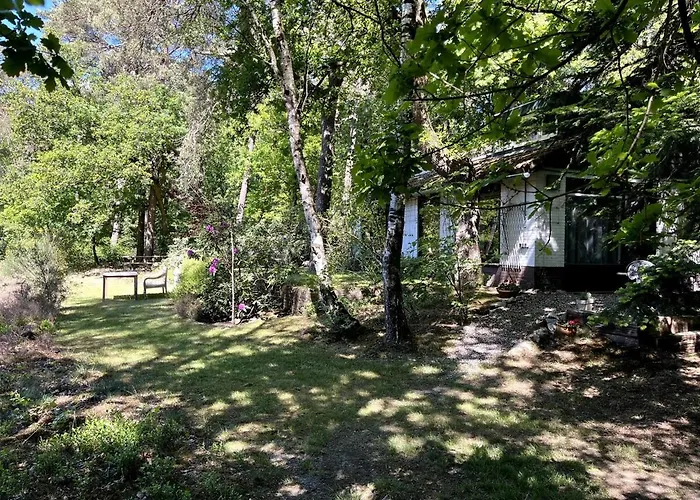 Cozy House In The Middle Of Nature * Emst