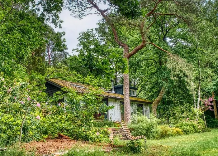 Cozy House In The Middle Of Nature