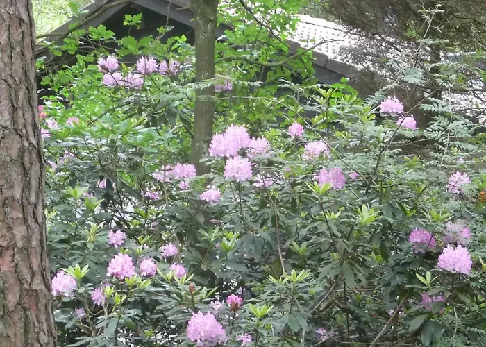 Сasa de vacaciones Cozy House In The Middle Of Nature Emst