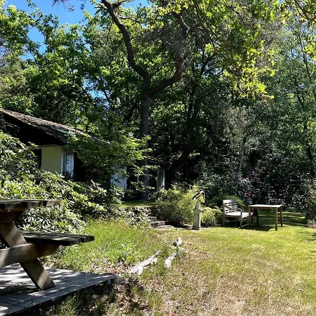 Cozy House In The Middle Of Nature